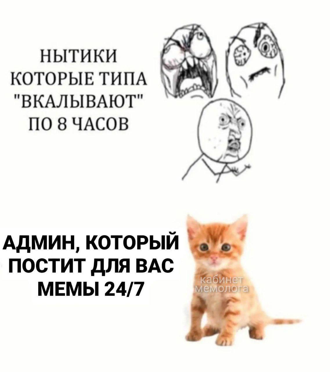 НЫТИКИ КОТОРЫЕ ТИПА "ВКАЛЫВАЮТ" ПО 8 ЧАСОВ АДМИН, КОТОРЫИ ПОСТИТ ДЛЯ BAC МЕМЫ 24/7