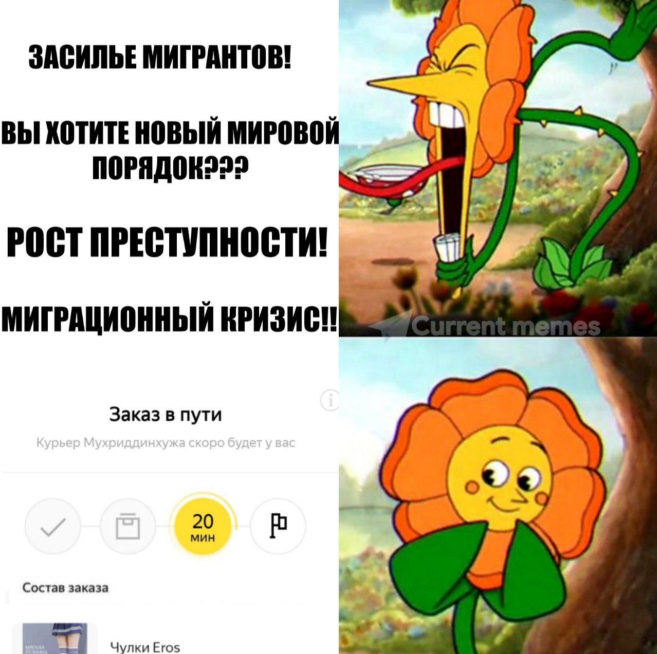 ЗАСИЛЬЕ МИГРАНТОВ! ВЫ ХОТИТЕ НОВЫЙ МИРОВОЙ и РОСТ ПРЕСТУПНОСТИ! 4 МИГРАЦИОННЫЙ Заказ в пути 4 Состав заказа Чулки Eros