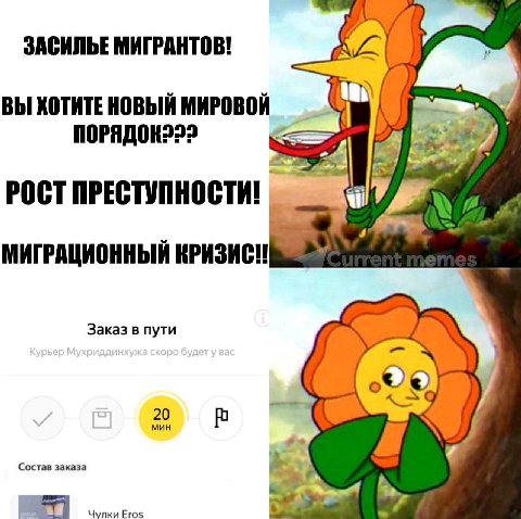 ЗАСИЛЬЕ МИГРАНТОВ! ВЫ ХОТИТЕ НОВЫЙ МИРОВОЙ и РОСТ ПРЕСТУПНОСТИ! 4 МИГРАЦИОННЫЙ Заказ в пути 4 Состав заказа Чулки Eros