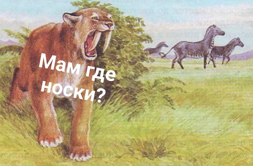 we Мам Где a