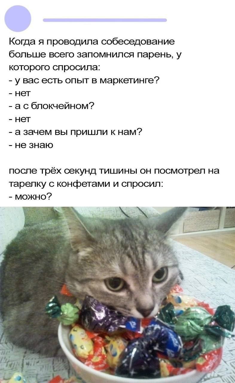Когда я проводила собеседование больше всего запомнился парень, у которого спросила: увас есть опьт в маркетинге? нет асблокчейном? азачем вы пришли к нам? не знаю после трёх секунд тишины он посмотре