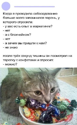 Когда я проводила собеседование больше всего запомнился парень, у которого спросила: увас есть опьт в маркетинге? нет асблокчейном? азачем вы пришли к нам? не знаю после трёх секунд тишины он посмотре