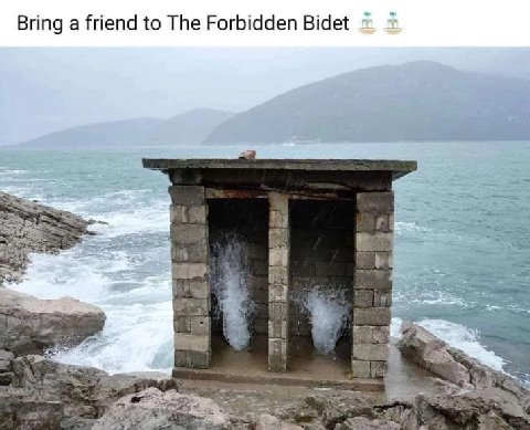 Bring a friend to The Forbidden Bidet