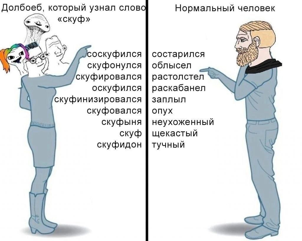 Нормальный человек Долбоеб, который узнал слов «скуф» оскуфился состарился облысел скуфонулся скуфировался растолстел оскуфился раскабанел скуфинизировался заплыл скуфовался опух скуфыня неухоженный с