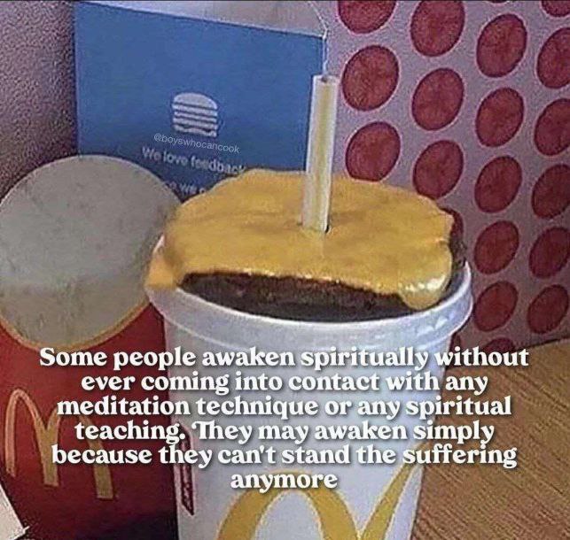 Some people awaken without ever coming into contact with any meditation technique or any Spiritual teaching. They may awaken simply because they can't stand the suffering anymore 7