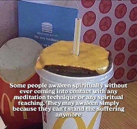 Some people awaken without ever coming into contact with any meditation technique or any Spiritual teaching. They may awaken simply because they can't stand the suffering anymore 7