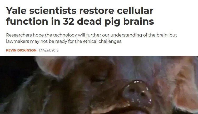 Yale scientists restore cellular function in 32 dead pig brains Researchers hope the technology will further our understanding of the brain, but lawmakers may not be ready for the ethical challenges. 