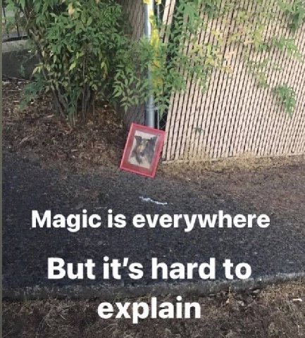 Magic Is everywhere But it's hard to. explain