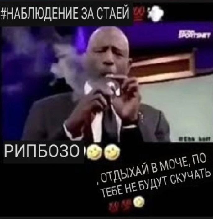 #НАБЛЮДЕНИЕ ЗА СТАЕИ