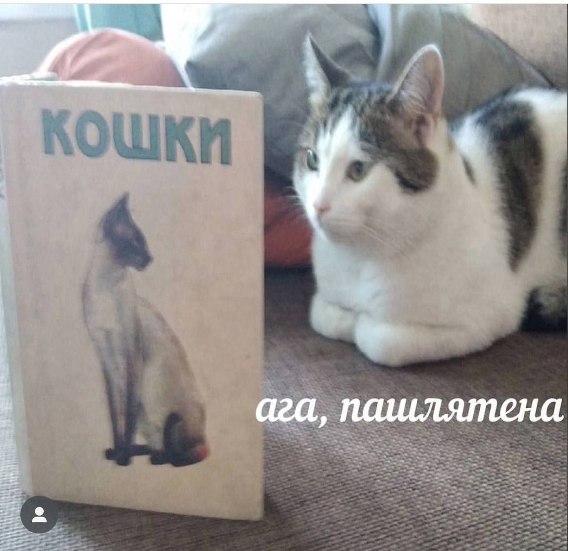 ага, пашлятена