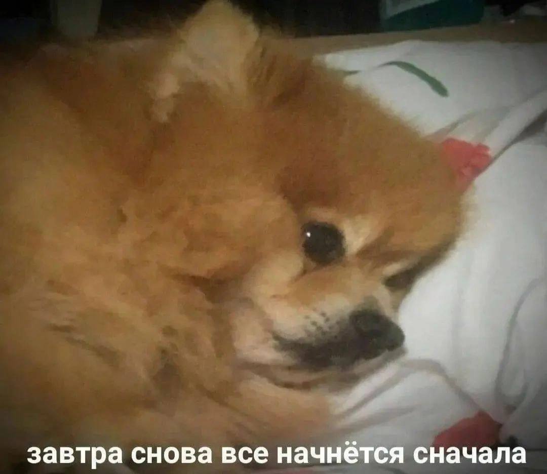 завтра снова все начнётся сначала