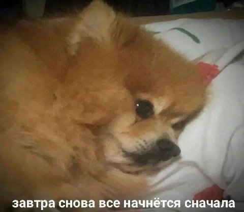 завтра снова все начнётся сначала