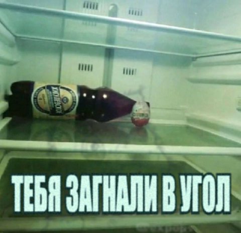 а ТЕБЯ ЗАГНАЛИ В УГОЛ