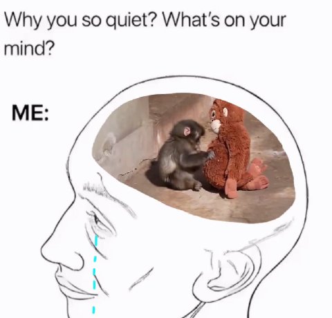 Why you so quiet? What's on your mind? ME: