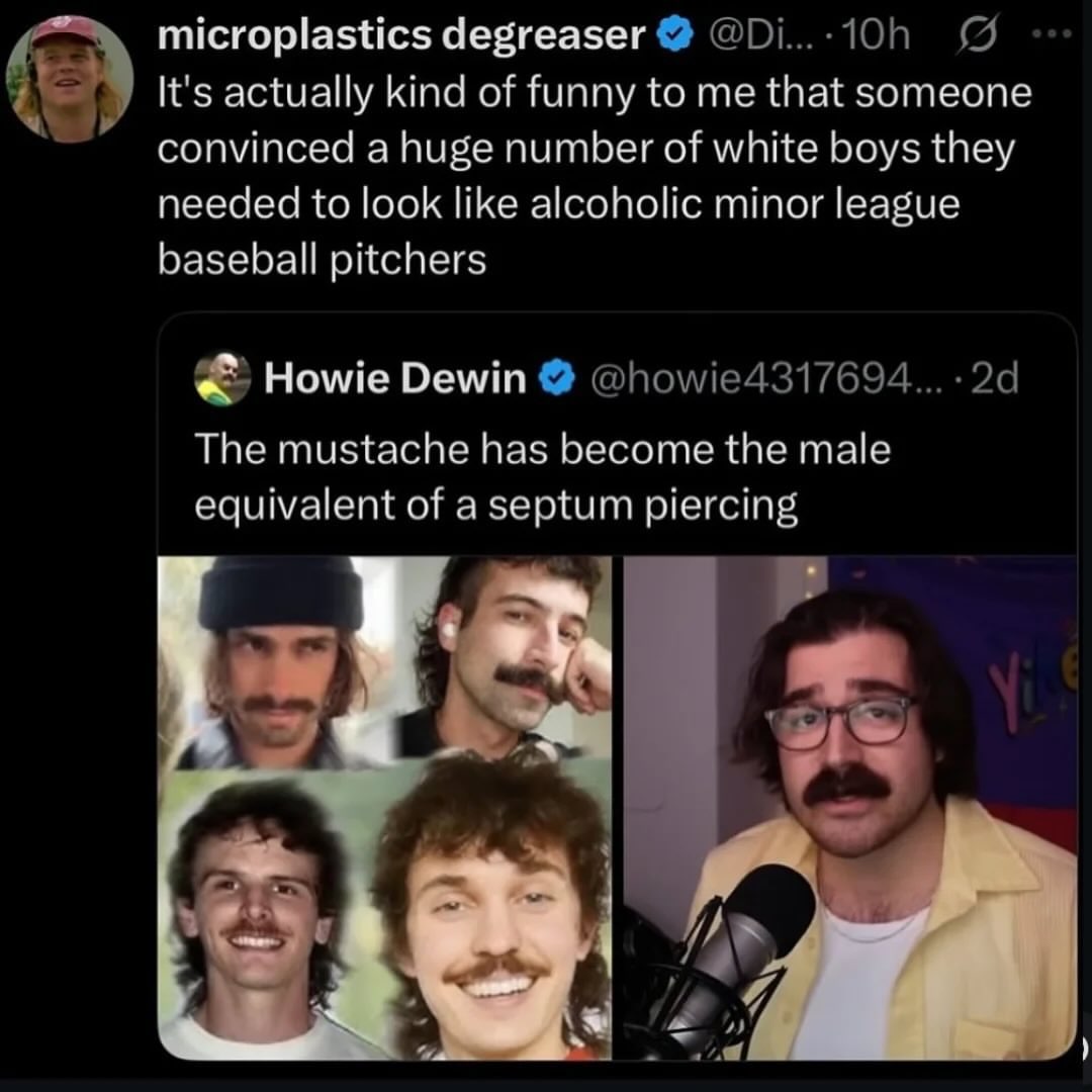 microplastics degreaser It's actually kind of funny to me that someone convinced a huge number of white boys they needed to look like alcoholic minor league baseball pitchers Howie Dewin @howie4317694