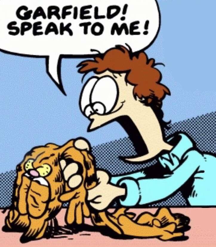 GARFIELD! SPEAK TO ME! a У