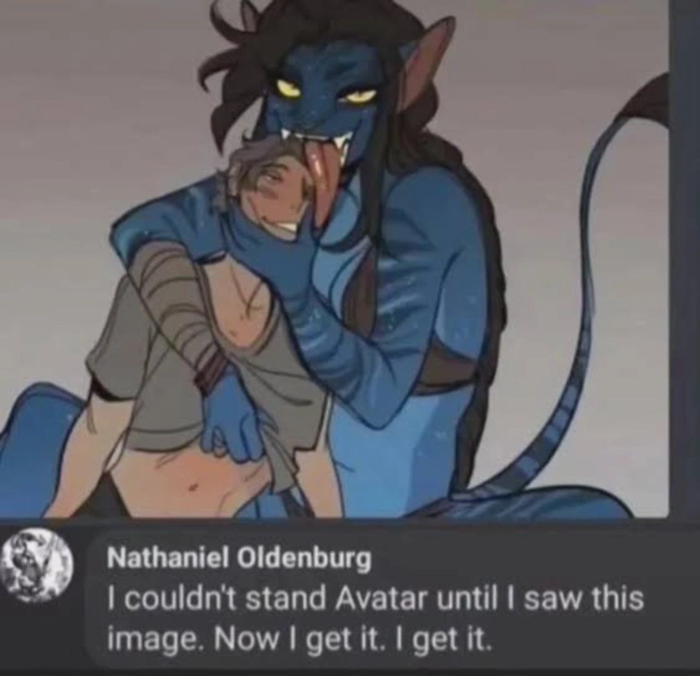 4 Nathaniel Oldenburg couldn't stand Avatar until saw this image. Now get it. get it.