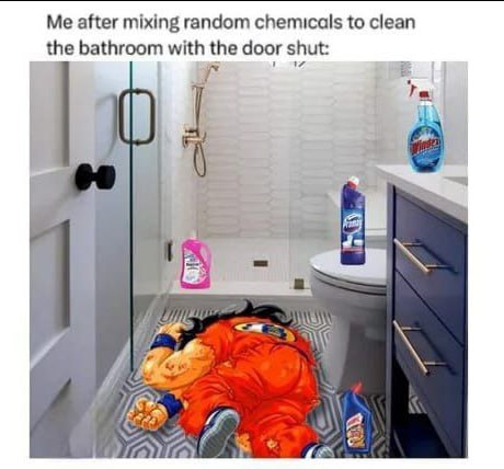 Me after mixing random chemicals to clean the bathroom with the door shut: 6
