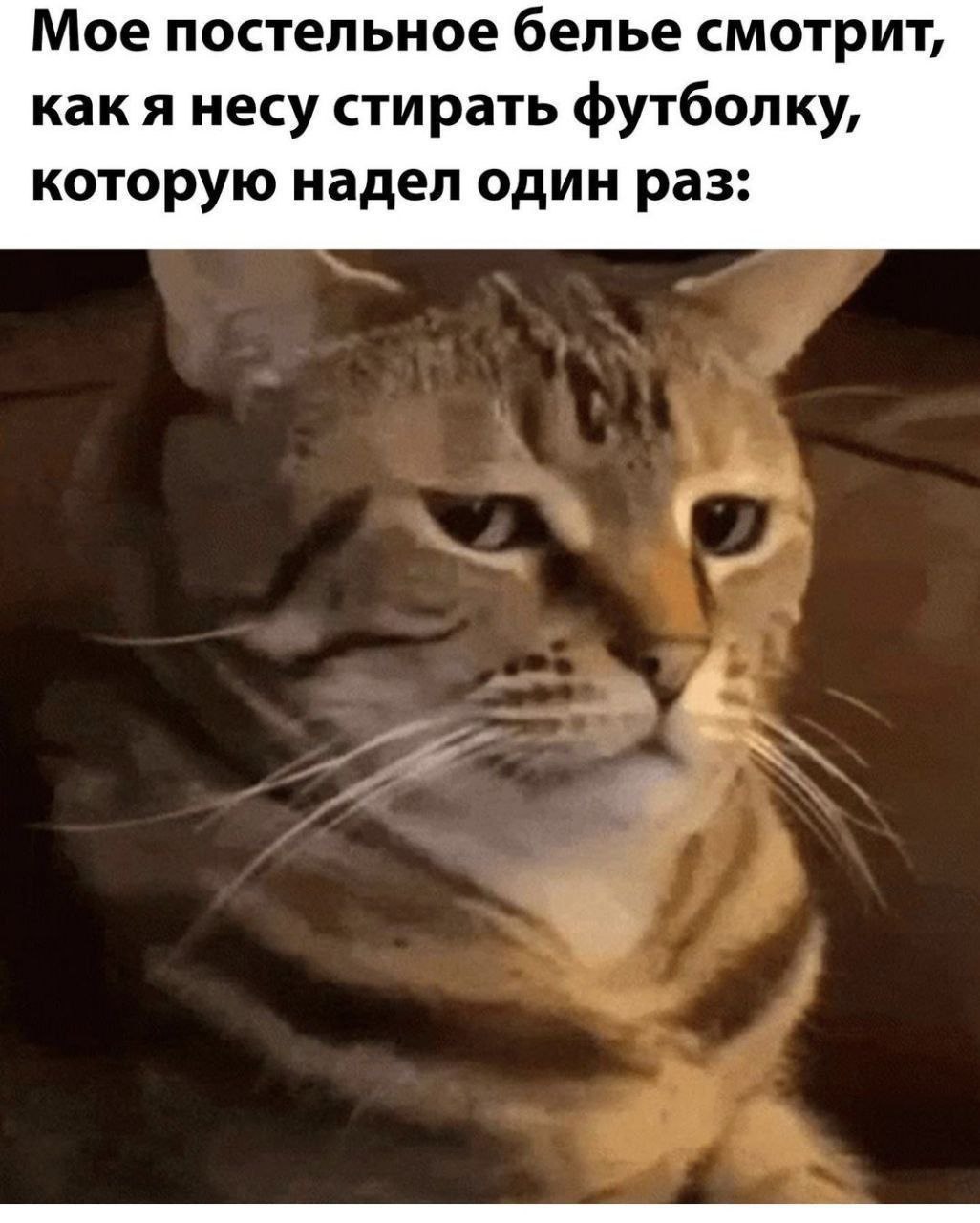 Мое постельное белье смотрит, как я несу стирать футболку, которую надел один раз: