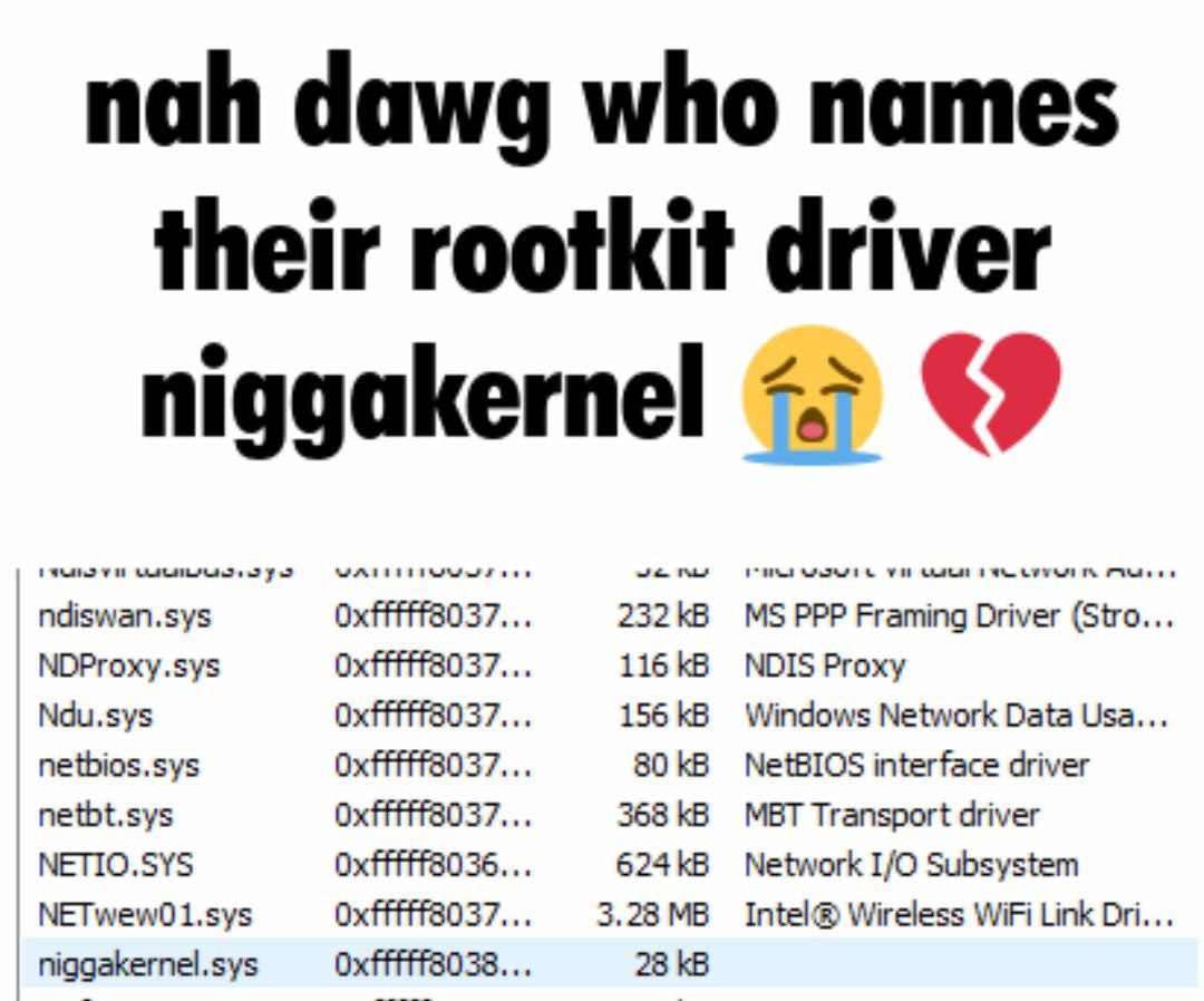 nah dawg who names their rootkit driver niggakernel ©9 ndiswan.sys 8037 232 PPP Framing Driver (Stro NDProxy.sys 116 NDIS Proxy 8037 156 Windows Network Data Usa Ndu.sys netbios.sys 80 NetBIOS interfa