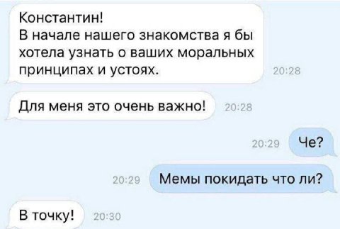 Константин! В начале нашего знакомства я бы хотела узнать о ваших моральных принципах и устоях. Для меня это очень важно! Че? Мемы покидать что ли? В точку!