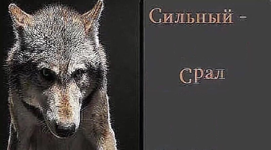 С) В (22: WAG «7. ibs 35 я срал {3 tft