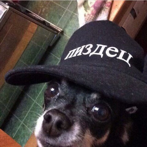 у