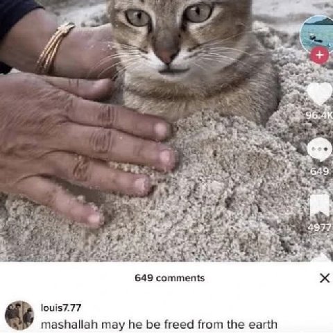 4 +7 649 у Я: 4977 649 comments mashallah may he be freed from the earth
