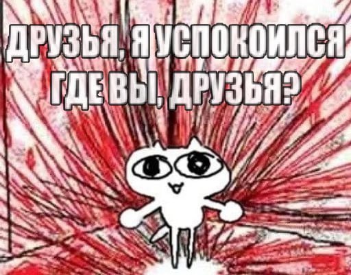 ДРУЗЬЯ, Wii