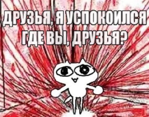 ДРУЗЬЯ, Wii