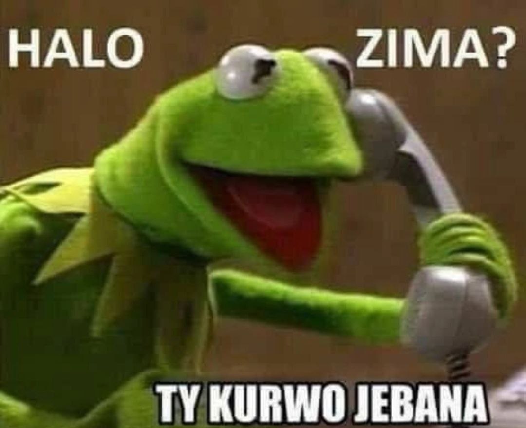 HALO ZIMA? KURWO