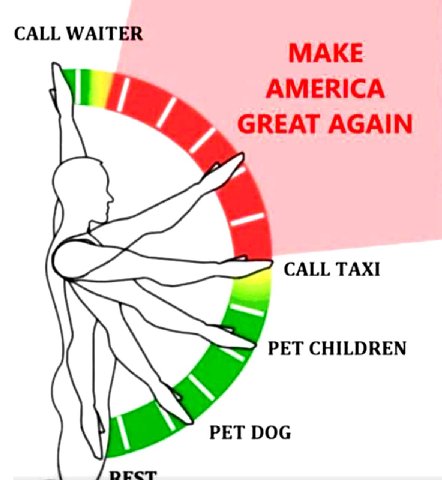 CALL WAITER MAKE AMERICA GREAT AGAIN CALL TAXI PET CHILDREN PET DOG