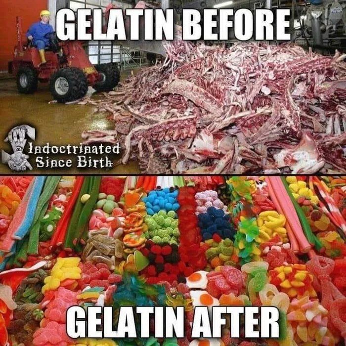 “GELATIN. oF 4 or 4 5. Since Birth GELATIN AFTER