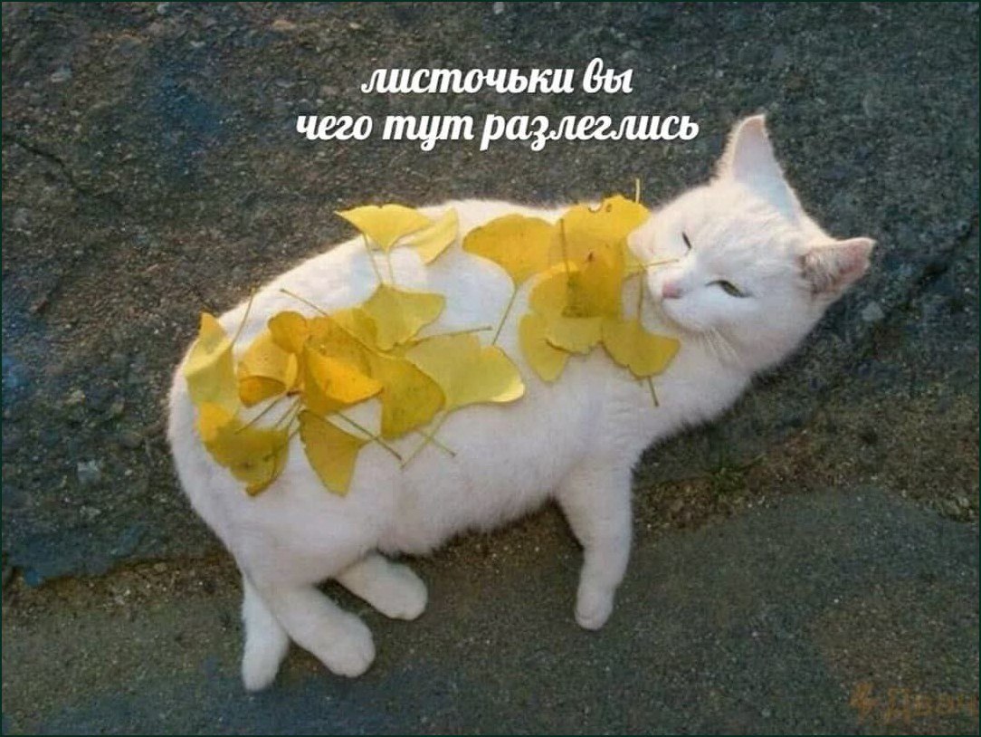 чего тут разлеглись