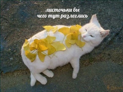 чего тут разлеглись