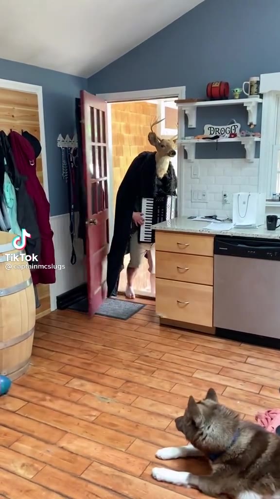 ВЕСТ  ВИРДЖИНЬЯЯЯЯ