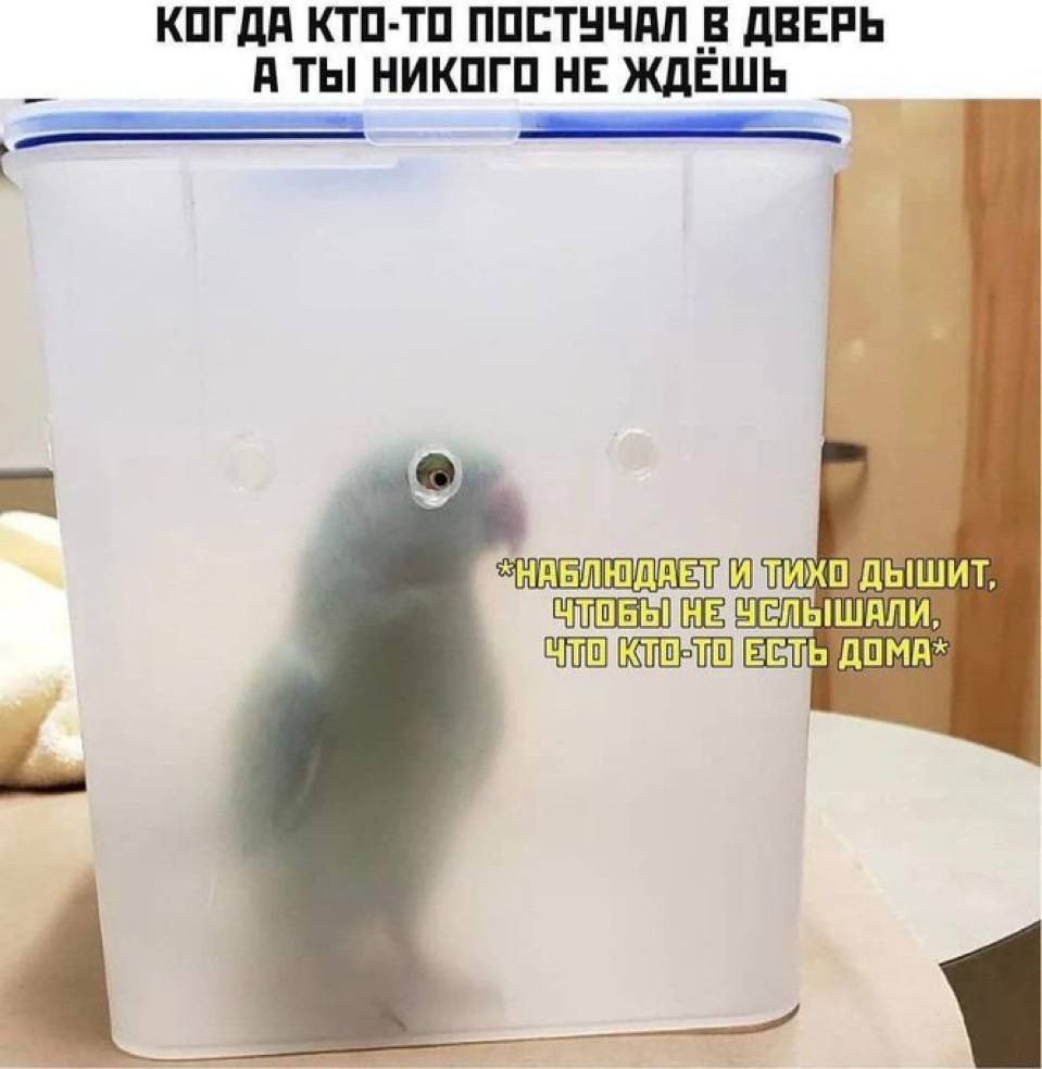 КОГДА КТО-ТО ПОСТУЧАЛ В ДВЕРЬ A ТЫ НИКОГО НЕ ЖДЁШЬ