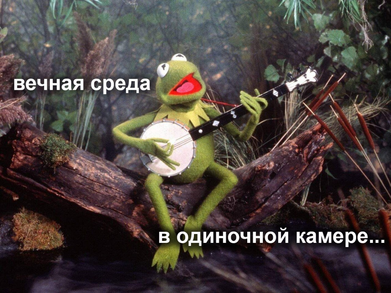 вечная среда в одиночной камере...