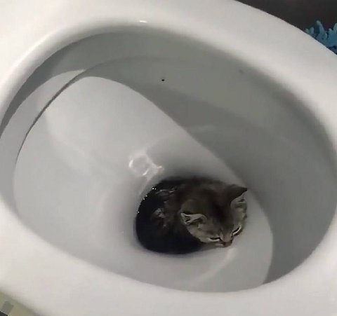 мем