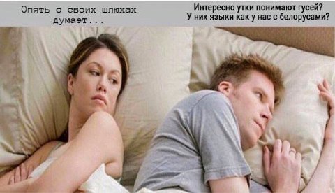 Опять о своих шлюхах Интересно утки понимают гусей? У них языки как у нас с белорусами? думает...