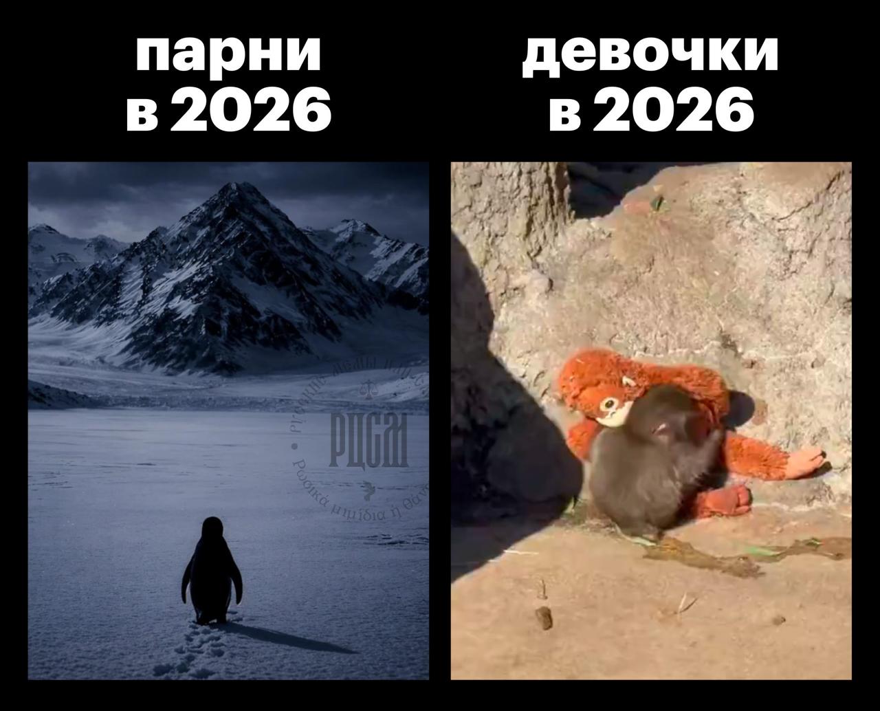 парни девочки в 2026