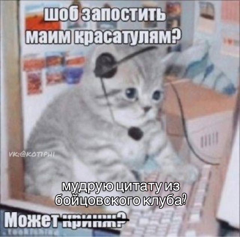 шоб запостить маим|красатулям? 4 MY цитату, из 12 Может