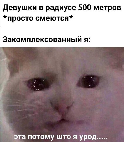 Девушки в радиусе 500 метров *просто смеются* Закомплексованный я: эта потому што я урод