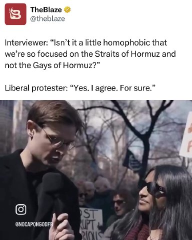 Interviewer: “Isn’t it a little homophobic that Liberal protester: “Yes. | agree. For sure.”