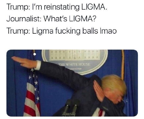 Trump: reinstating LIGMA. Journalist: What's LIGMA? Trump: Ligma fucking balls