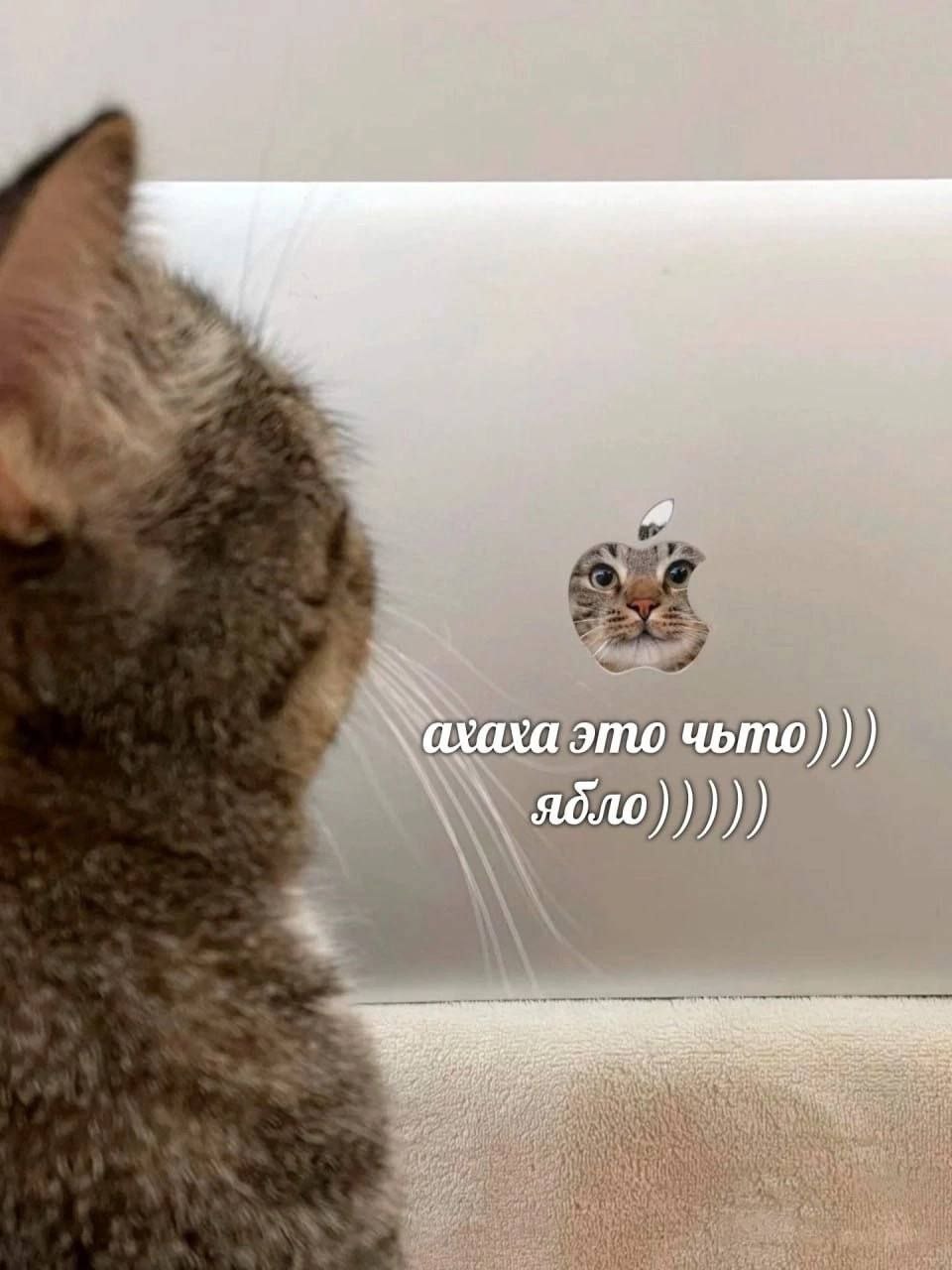 a ахаха это чьто) ядло)))))