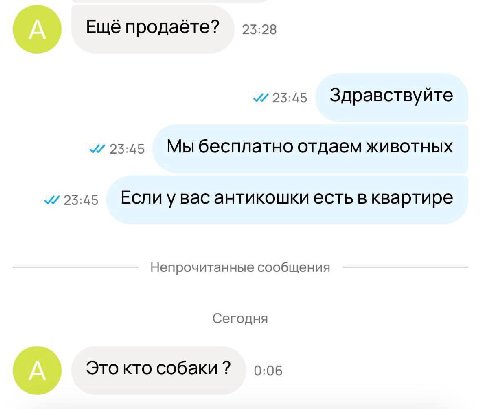Ещё продаёте? 23:28 23:45 Здравствуйте 23:45 Мы бесплатно отдаем животных 23:45 Если увас антикошки есть в квартире Непрочитанные сообщения Сегодня Это кто собаки 0:06