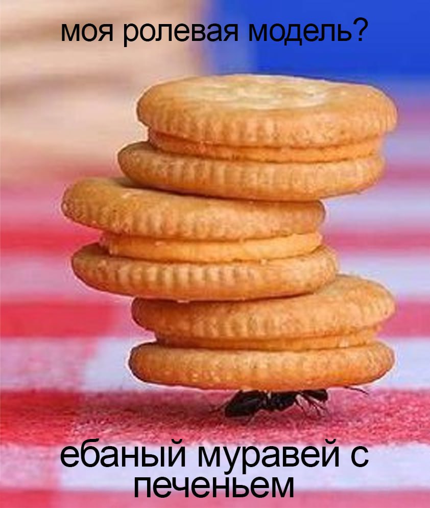 моя роле Str С муравей печеньем