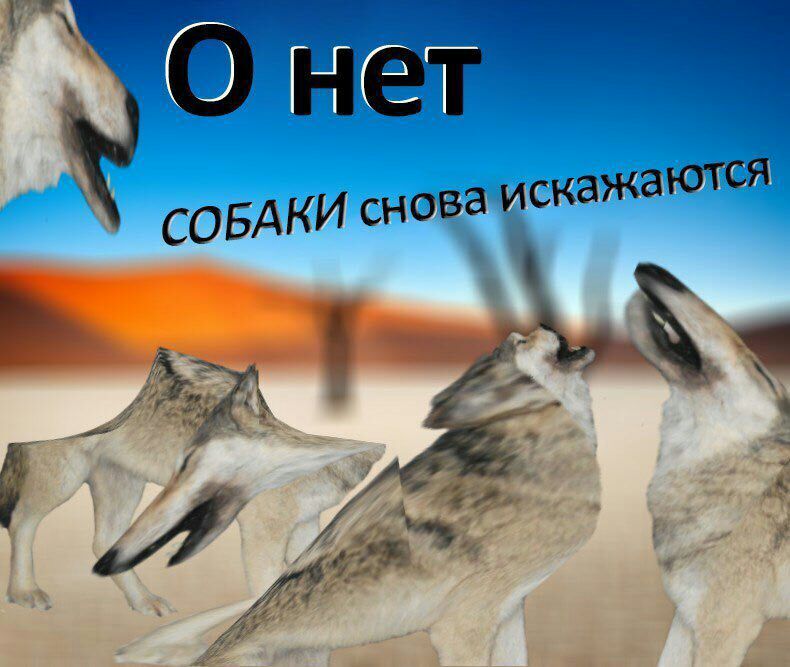 нет ON СОБАКИ снова 2 71