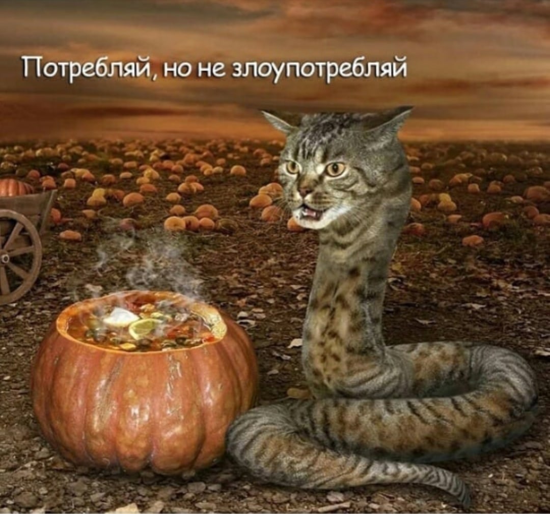 Потребляй, но не злоупотребляй 4